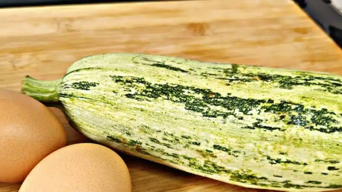 Receita Deliciosa Abobrinha Gostosa e Prática Para o Dia a Dia!